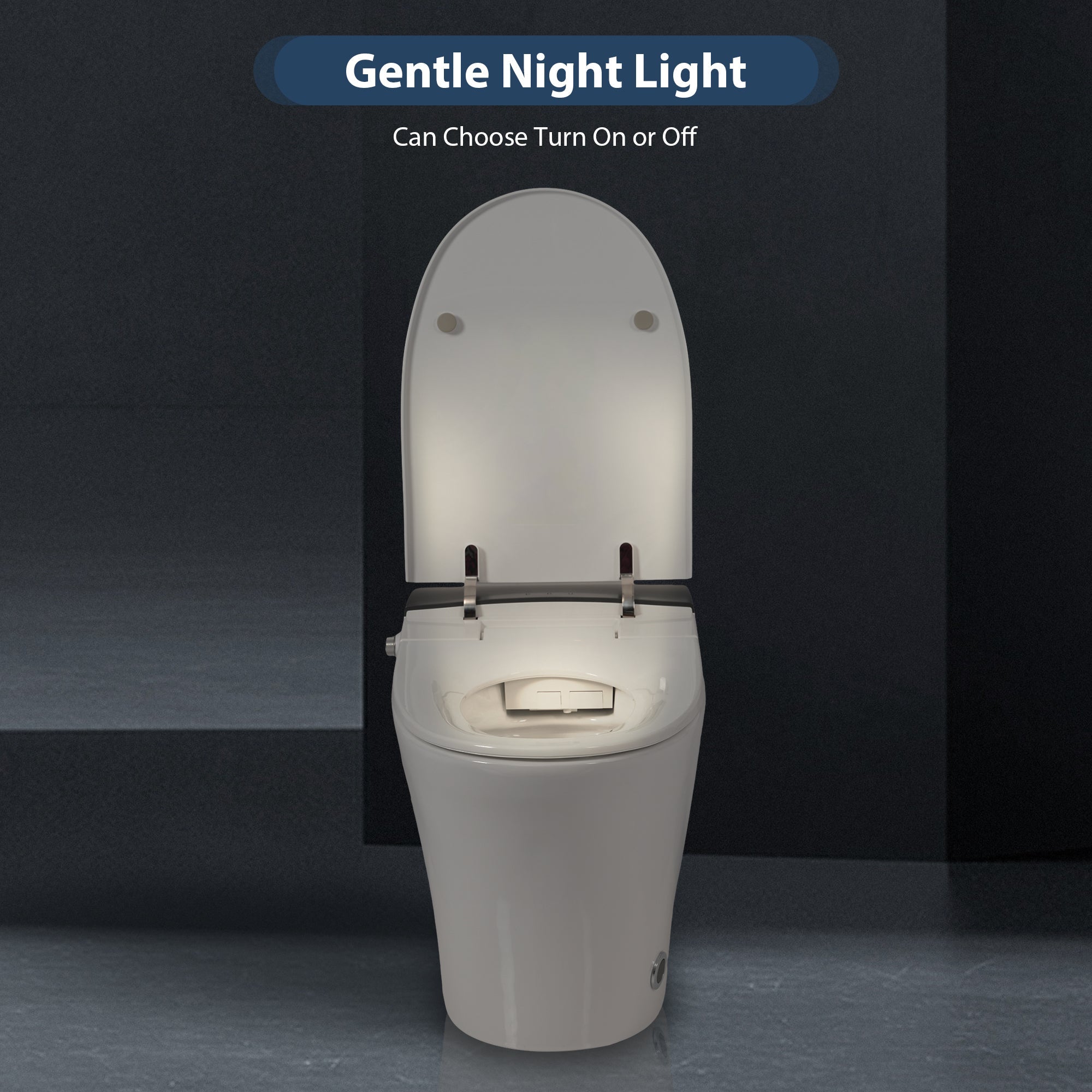 Heated Seat Smart Toilet, One Piece Toilet, Automatic Flush Tankless Toilet w...