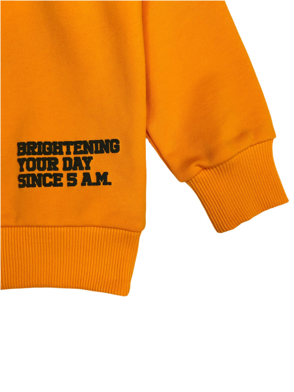HERE COMES THE SUN 400 GSM Cotton Crewneck | Orange Popsicle