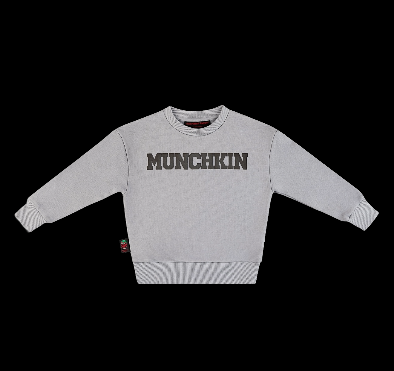 MUNCHKIN 400 GSM Cotton Crewneck | Sharkskin - Anthracite Edition