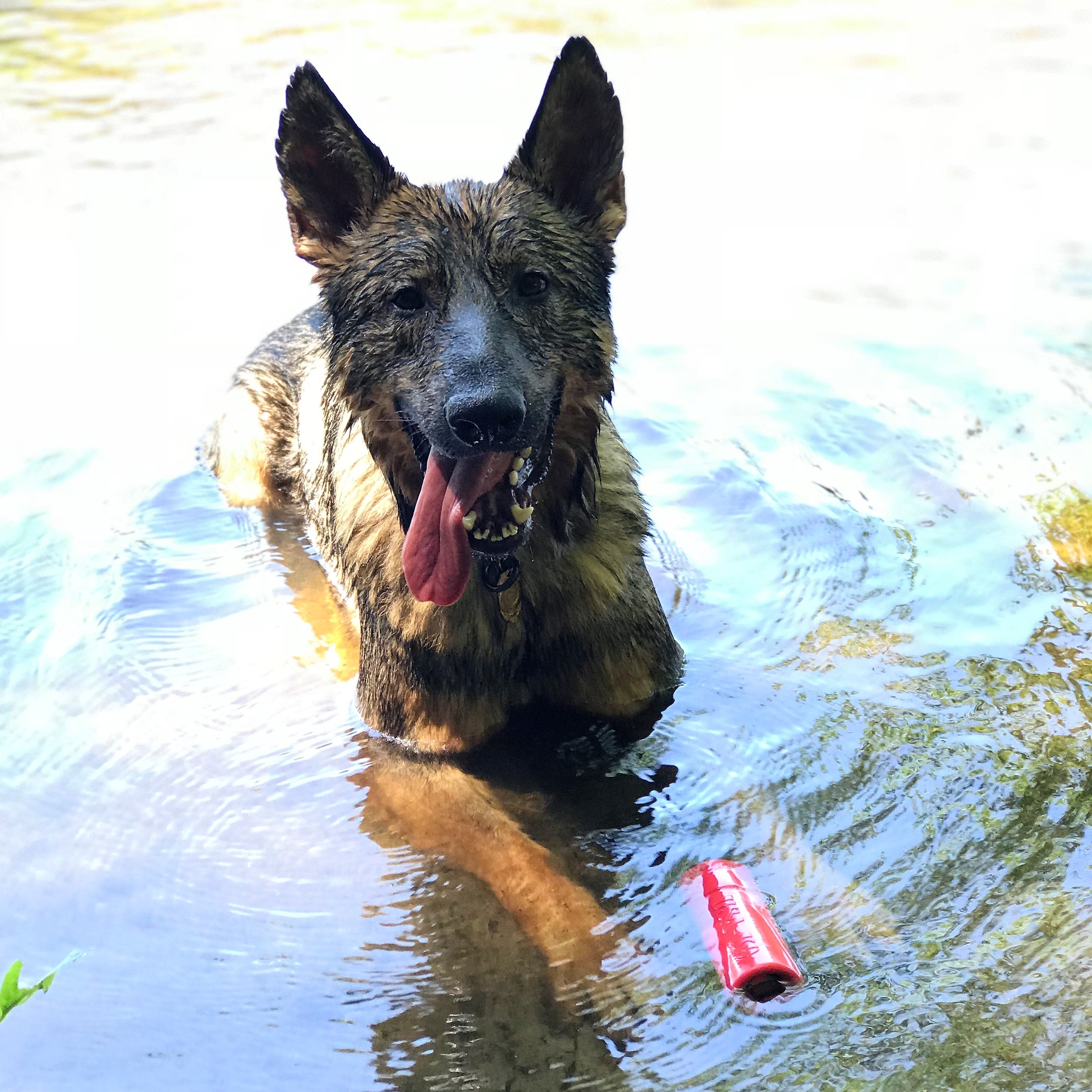 USA-K9 Firecracker Floating Training Dummy | K9 Handler Reward Toy | Red | USA Made