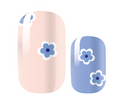 Little Blue Daisy