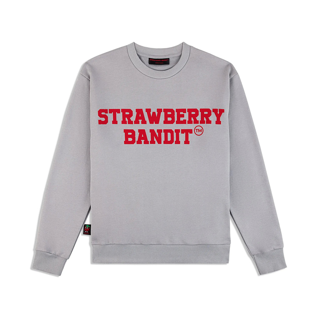 400 GSM Cotton Unisex Crewneck | Sharkskin